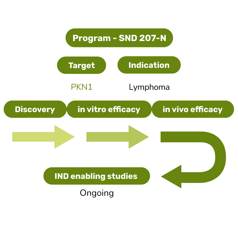 Oncology-Pipeline-2025-SND207-N Oncology-Pipeline-2025-SND207-N
