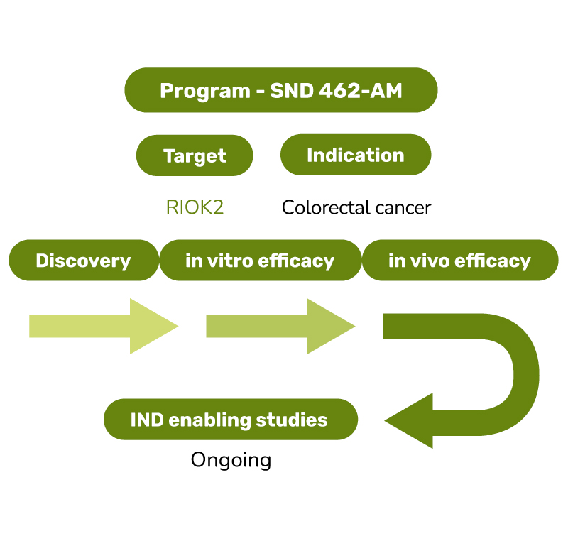 Oncology-Pipeline-2025-SND462-AM Oncology-Pipeline-2025-SND462-AM