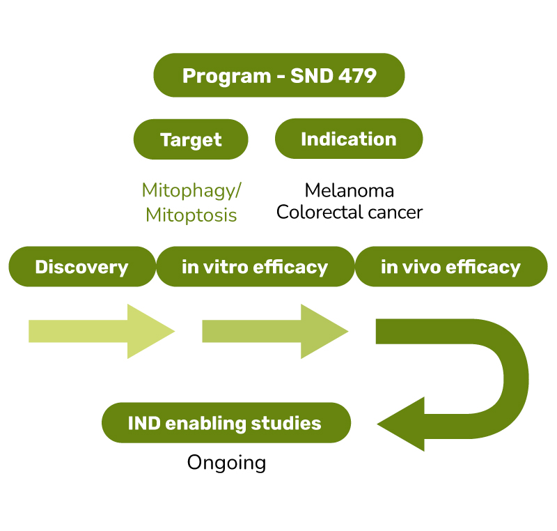 Oncology-Pipeline-2025-SND479 Oncology-Pipeline-2025-SND479