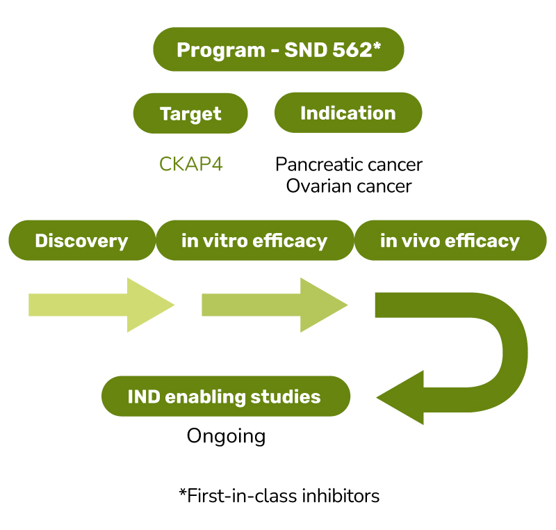 Oncology-Pipeline-2025-SND562 Oncology-Pipeline-2025-SND562