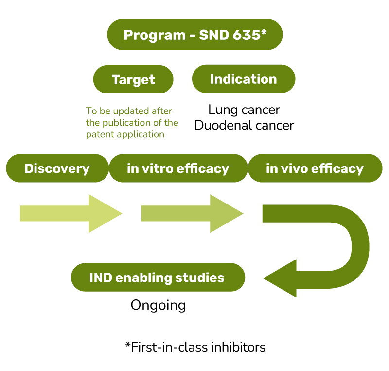 Oncology-Pipeline-2025-SND635 Oncology-Pipeline-2025-SND635